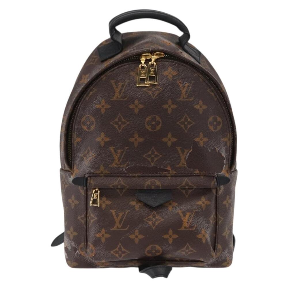 Louis Vuitton Monogram Palm Springs PM Backpack Brown